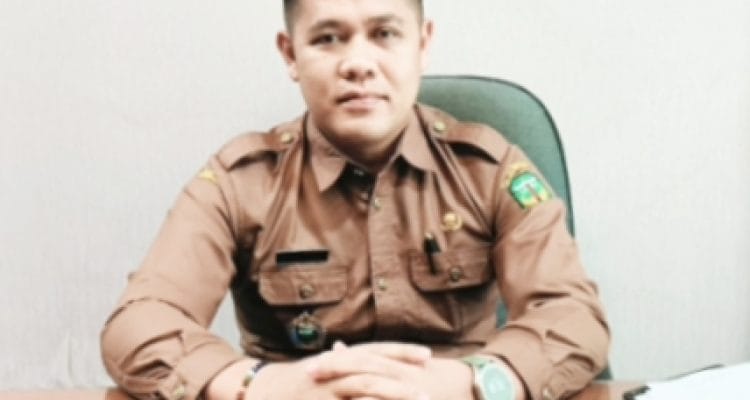 Andi Palanggi S.STP